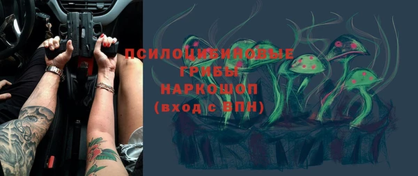 ешки Богданович